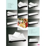 Catalogue13-Oblong plate