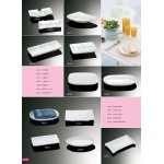 Catalogue67-DISH/ASHTRAY /TOWEL TRAY