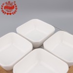 PD2392-Bowl with bamboo