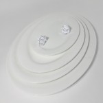 PD048-FISH DISH