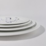 PD048-FISH DISH