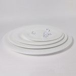 PD048-FISH DISH