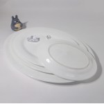 PD048-FISH DISH