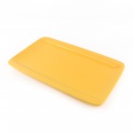 PD1416Y-Oblong plate（Matte colored glaze） 