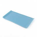 PD1713Y-Oblong plate（Matte colored glaze） 