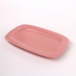 PD2137Y-OBLONG PLATE（Matte colored glaze）