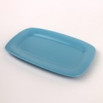 PD2137Y-OBLONG PLATE（Matte colored glaze）