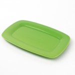 PD2137L-OBLONG PLATE（Bright colored glaze）