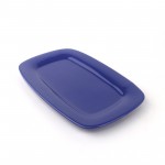PD2137L-OBLONG PLATE（Bright colored glaze）