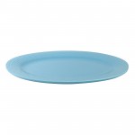 PD2472Y-Oblong plate（Matte colored glaze）