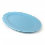 PD2472Y-Oblong plate（Matte colored glaze）