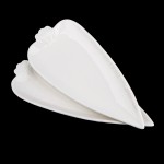 PD2906-Carrot plate