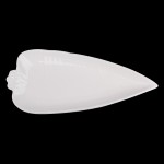 PD2906-Carrot plate