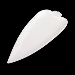 PD2906-Carrot plate