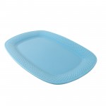 PD3052Y-OBLONG PLATE（Matte colored glaze） 