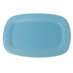 PD3052Y-OBLONG PLATE（Matte colored glaze） 