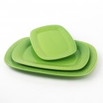 PD3060L-OBLONG PLATE（Bright colored glaze）