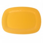 PD3060Y-OBLONG PLATE（Matte colored glaze）